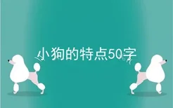 小狗的特点50字