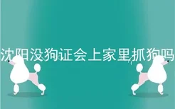 沈阳没狗证会上家里抓狗吗