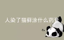 人染了猫藓涂什么药膏