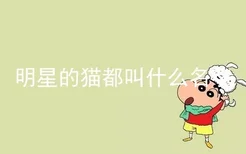 明星的猫都叫什么名字