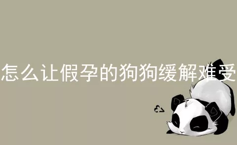 怎么让假孕的狗狗缓解难受