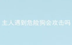 主人遇到危险狗会攻击吗