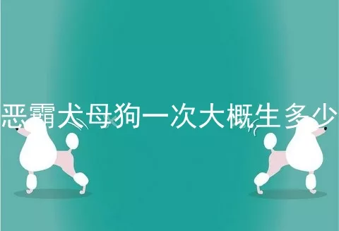 恶霸犬母狗一次大概生多少