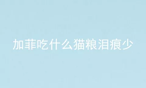 加菲吃什么猫粮泪痕少