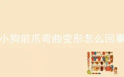 小狗前爪弯曲变形怎么回事