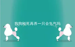 狗狗刚死再养一只会生气吗