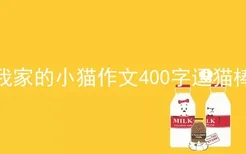 我家的小猫作文400字逗猫棒