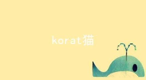 korat猫