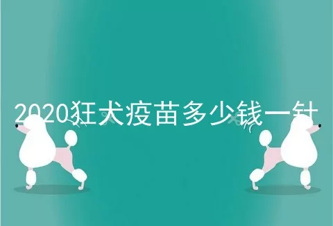 2020狂犬疫苗多少钱一针