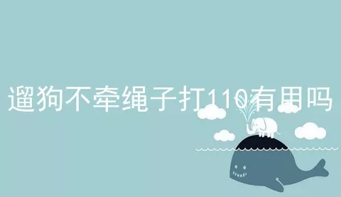 遛狗不牵绳子打110有用吗