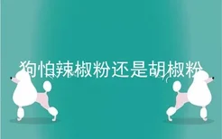 狗怕辣椒粉还是胡椒粉