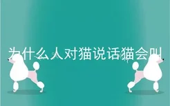 为什么人对猫说话猫会叫