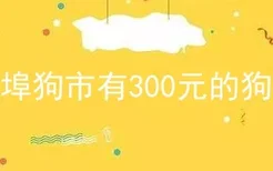 蚌埠狗市有300元的狗吗