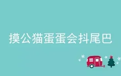 摸公猫蛋蛋会抖尾巴