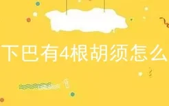 狗下巴有4根胡须怎么讲