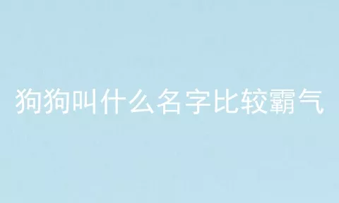 狗狗叫什么名字比较霸气