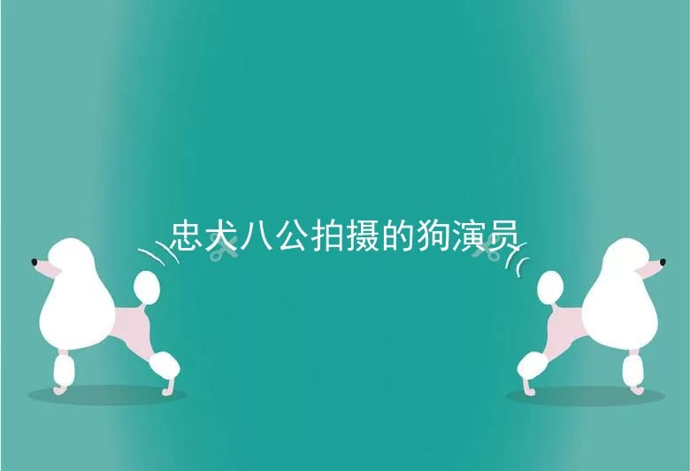 忠犬八公拍摄的狗演员