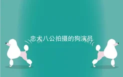 忠犬八公拍摄的狗演员