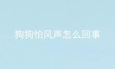 狗狗怕风声怎么回事