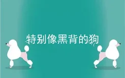 特别像黑背的狗