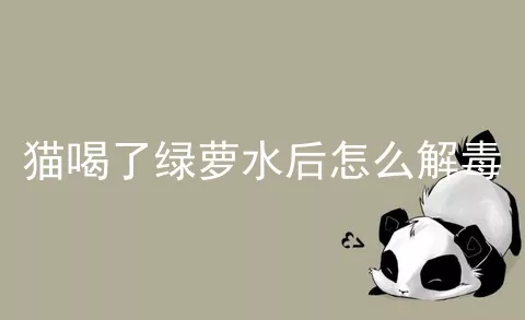 猫喝了绿萝水后怎么解毒