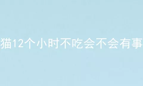 猫12个小时不吃会不会有事