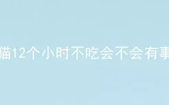 猫12个小时不吃会不会有事