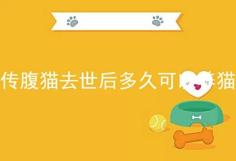 传腹猫去世后多久可以养猫