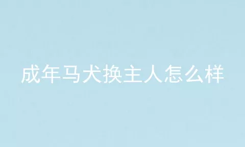 成年马犬换主人怎么样