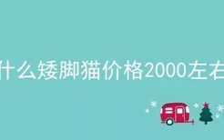 什么矮脚猫价格2000左右