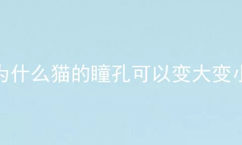 为什么猫的瞳孔可以变大变小