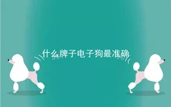 什么牌子电子狗最准确