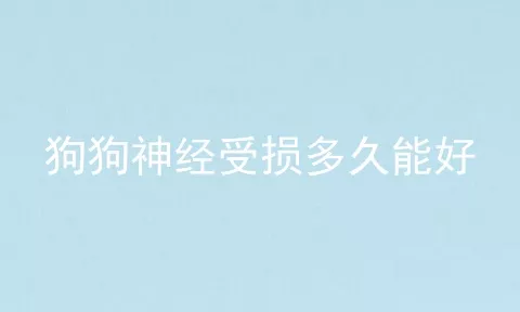 狗狗神经受损多久能好