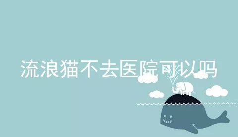 流浪猫不去医院可以吗