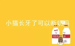 小猫长牙了可以断奶吗