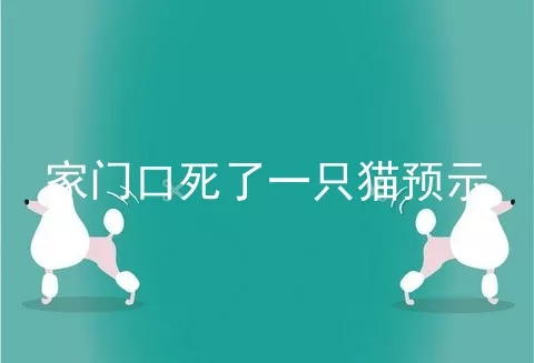 家门口死了一只猫预示