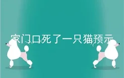 家门口死了一只猫预示