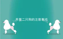 养第二只狗的注意事项