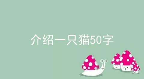 介绍一只猫50字