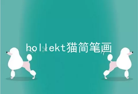 hollekt猫简笔画