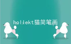 hollekt猫简笔画