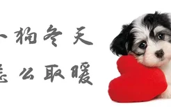 小狗冬天怎么取暖