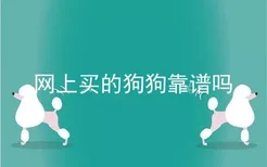 网上买的狗狗靠谱吗