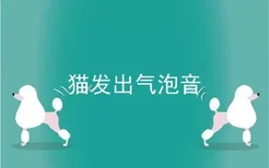 猫发出气泡音