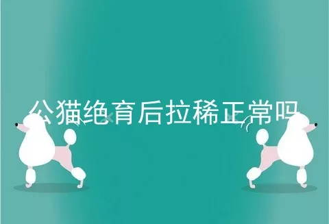 公猫绝育后拉稀正常吗