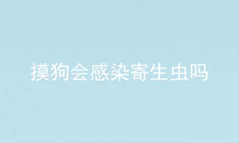 摸狗会感染寄生虫吗