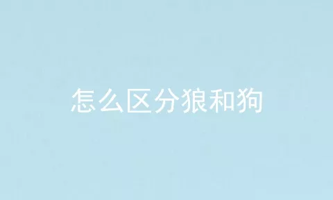 怎么区分狼和狗