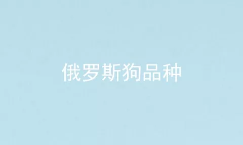 俄罗斯狗品种