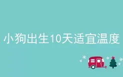 小狗出生10天适宜温度