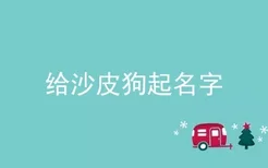 给沙皮狗起名字